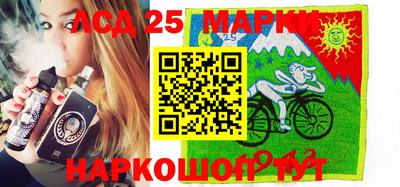 шишки Заволжье