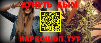 шишки Заволжье