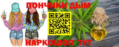 шишки Заволжье