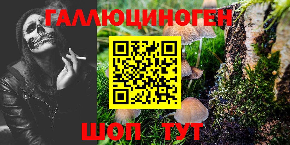 Северодвинск  Псилоцибиновые грибы GOLDEN TEACHER  Вход с VPN  Псилоцибиновые грибы GOLDEN TEACHER 