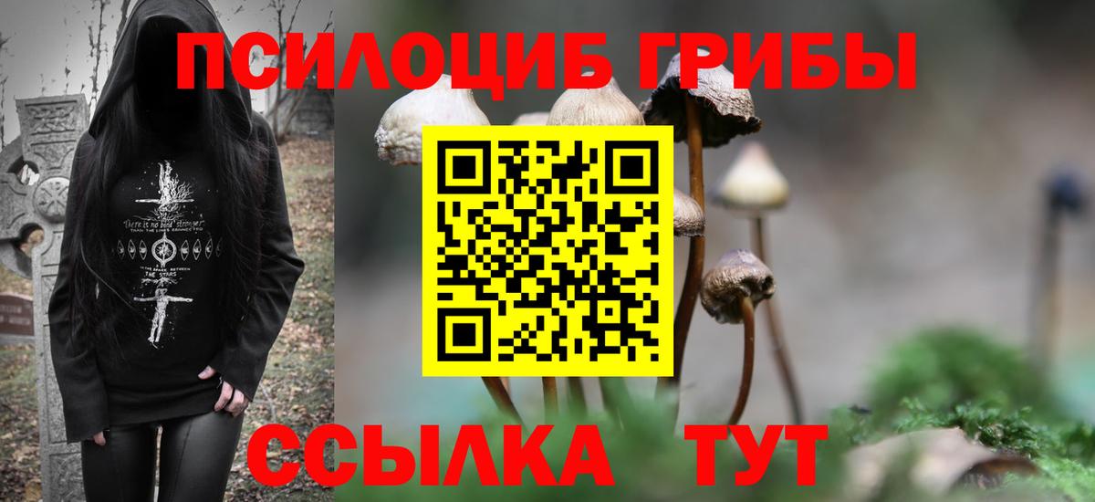 Псилоцибиновые грибы Psilocybe Северодвинск